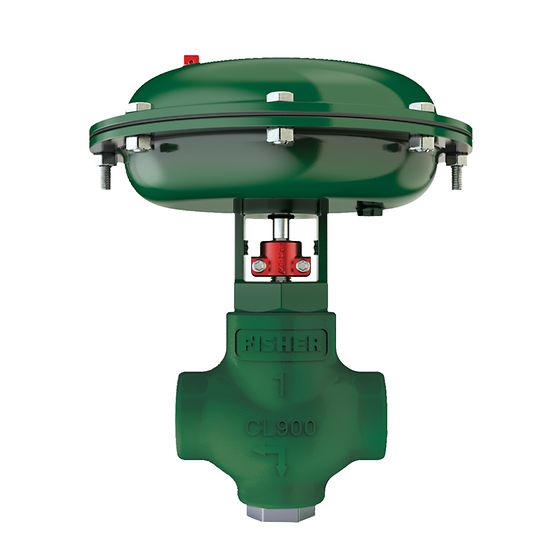 Fisher D2T FloPro 控制阀